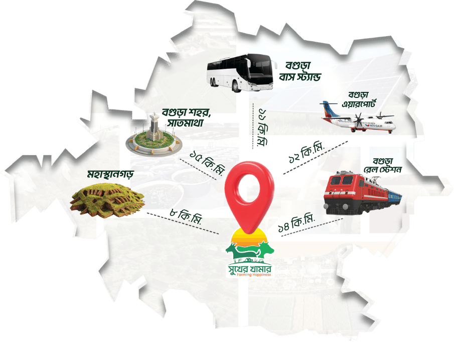 সুখের খামার